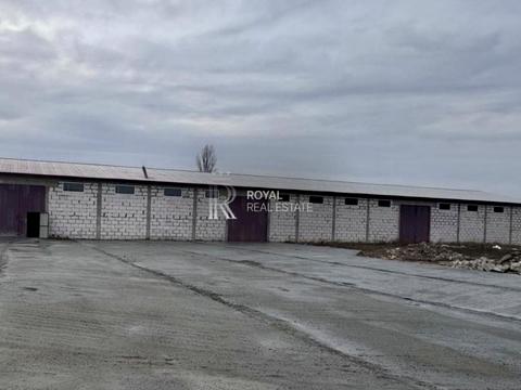 комерційна за адресою Лебедина, 1