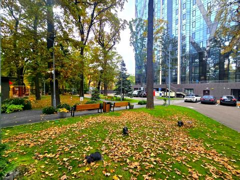 квартира за адресою Київ, Авіаконструктора Антонова вул., 2-Б