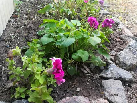 участок по адресу Шевченка, 67