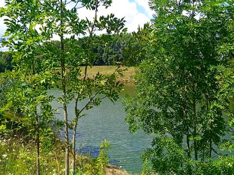 участок по адресу Шевченка, 67