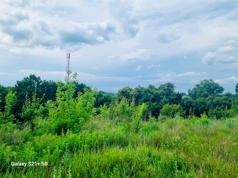 участок по адресу Квитковая