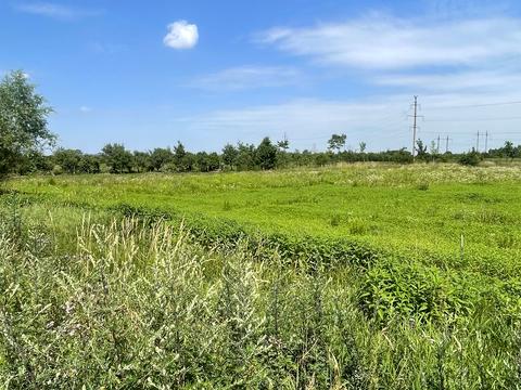 участок по адресу с. Березовка, 