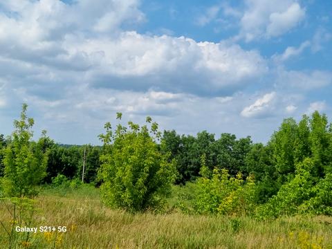 ділянка за адресою Васильковская