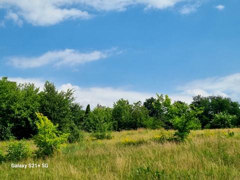 ділянка за адресою Васильковская