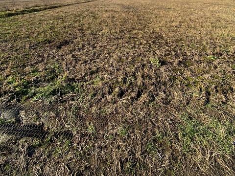 участок по адресу с. Березовка, 