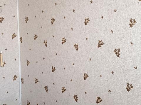 квартира за адресою Генерала Григоренка вул., 67