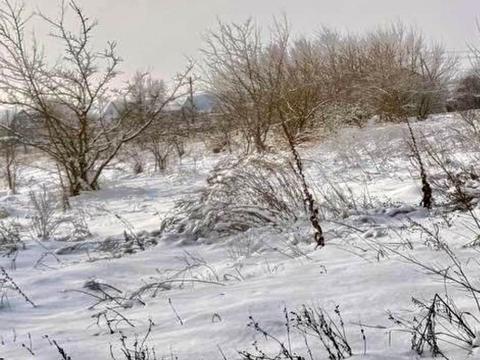 ділянка за адресою с. Дружня, 