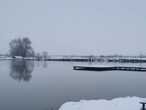 квартира по адресу Сонячна, 40