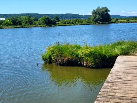 квартира по адресу Сонячна, 40