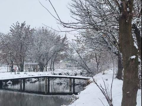 квартира по адресу Сонячна, 40