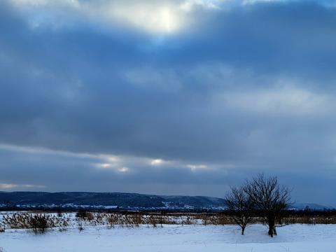 квартира по адресу Сонячна, 40