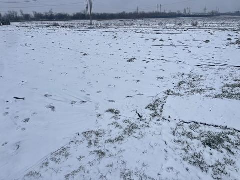 участок по адресу Уютная