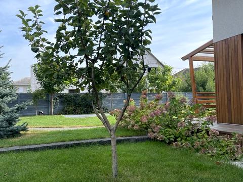 будинок за адресою 1-й пров. Лісо-Степовий