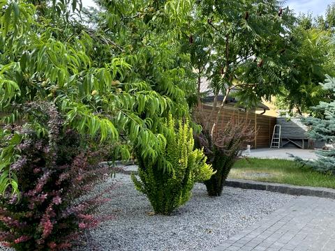 будинок за адресою 1-й пров. Лісо-Степовий