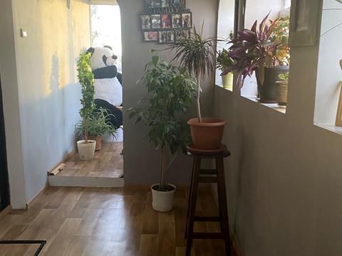 будинок за адресою с. Молодіжне, СК Хвиля