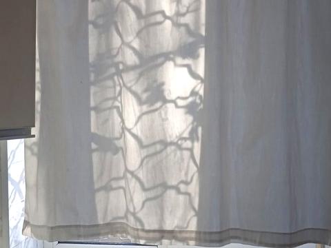 квартира за адресою Ольгіївська вул. (Академіка Павлова), 10