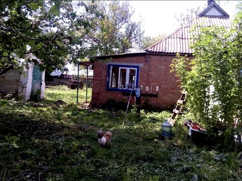 ділянка за адресою с. Лазірки, довжанська, 119