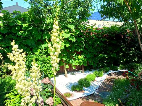 дом по адресу с. Мархалевка, серпнева