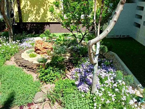 дом по адресу с. Мархалевка, серпнева