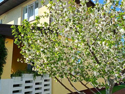 дом по адресу с. Мархалевка, серпнева
