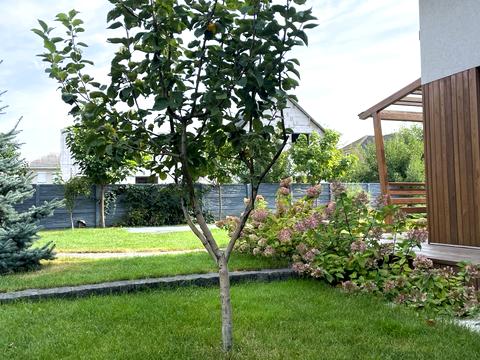 будинок за адресою 1-й пров. Лісо-Степовий