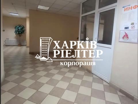 квартира по адресу Гагарина просп., 43/1