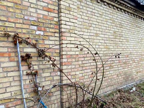 будинок за адресою Комарова