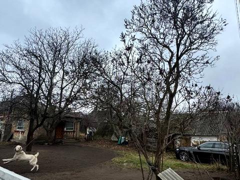 будинок за адресою Комарова