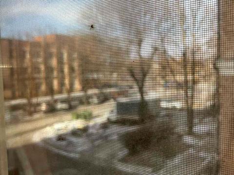 квартира по адресу Философская ул., 27