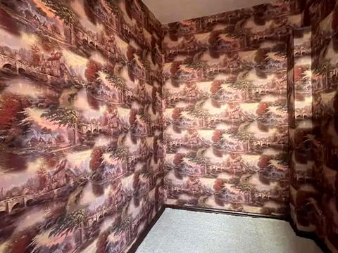 будинок за адресою Весела вул., 52