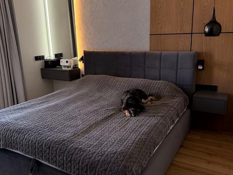 квартира по адресу Зеленая ул., (Будинок 5)