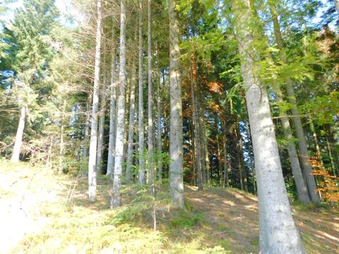 будинок за адресою Бориславська вул., 34