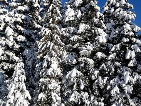 будинок за адресою Бориславська вул., 34