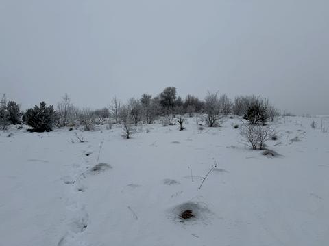 ділянка за адресою с. Ямельня, 