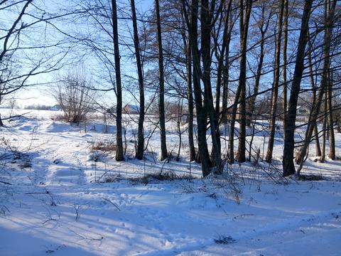 участок по адресу Олександра Березовського, 33