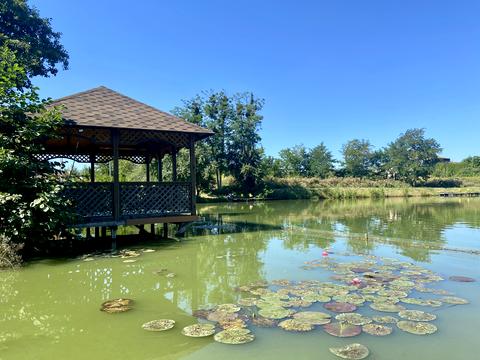 будинок за адресою Соколина