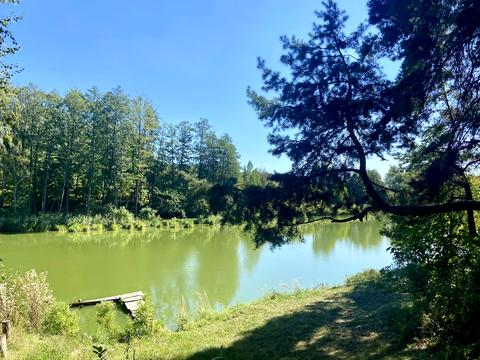 будинок за адресою Соколина