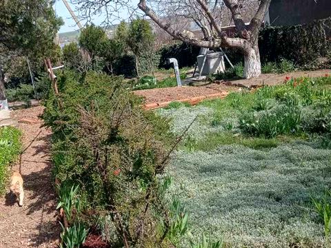 будинок за адресою Овідіопольська дорога