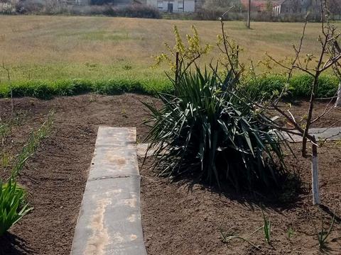 будинок за адресою Овідіопольська дорога