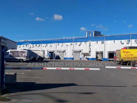 комерційна за адресою с. Святопетрівське, Центральна вул., 58