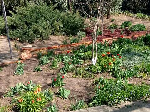 дом по адресу Зелена Балка ул.