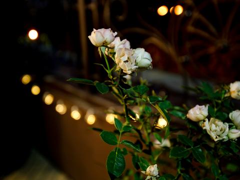 комерційна за адресою Глибочицька, 32-А