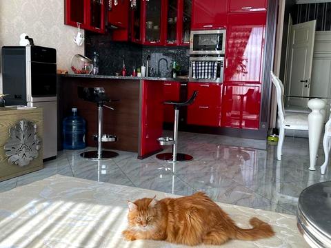 квартира за адресою Січових Стрільців вул. (Артема), 50