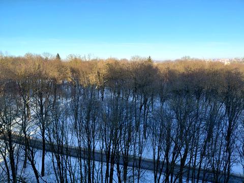 квартира за адресою Чумацька вул., 2