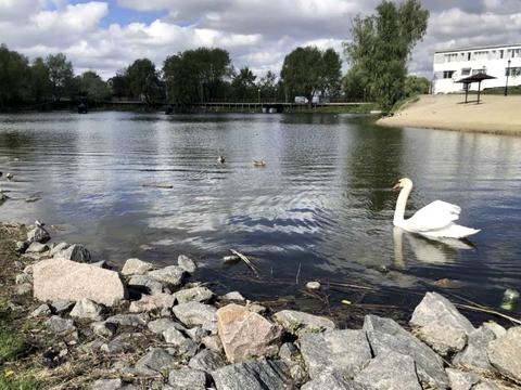 будинок за адресою Амбулаторна вул.