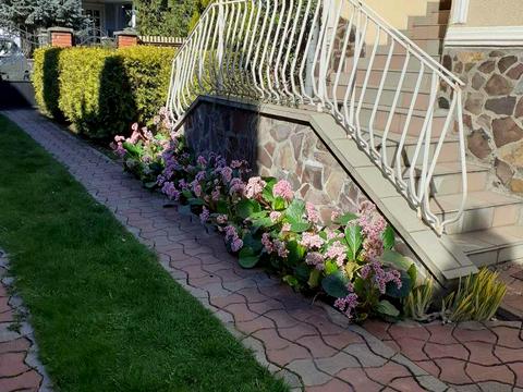 будинок за адресою с. Минай, Изумрудная, 8