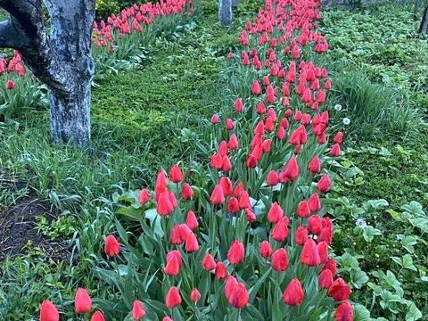 будинок за адресою с. Минай, Изумрудная, 8
