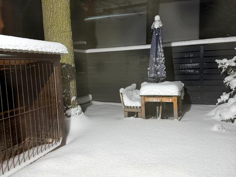 дом по адресу Буча, Ивана Карпенко-Карого ул. (Некрасова), 8-Ж