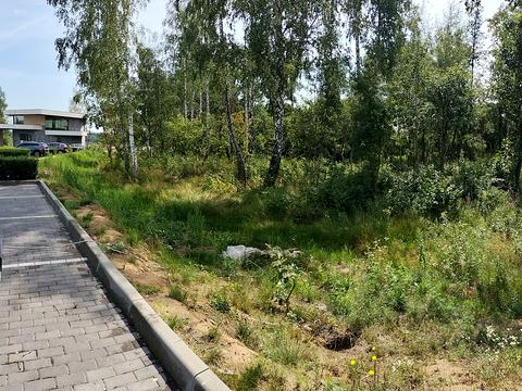 участок по адресу Кричевського, 25Б