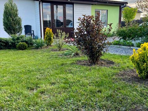 дом по адресу Софіївська, 1